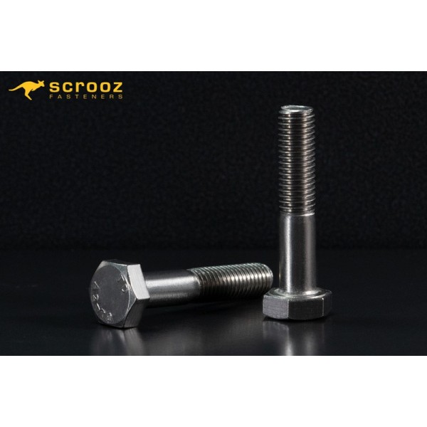 M10*100 Cıvata İnox 304