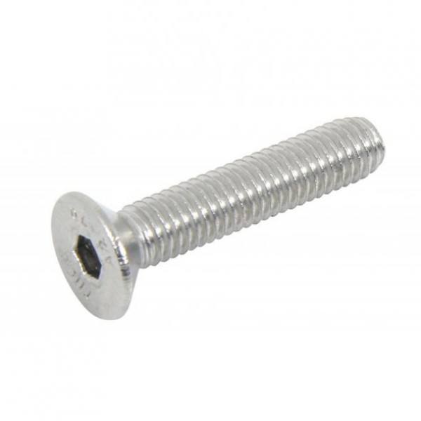 M10*40 HB İnox İmbus Cıvata DIN 7991 A2