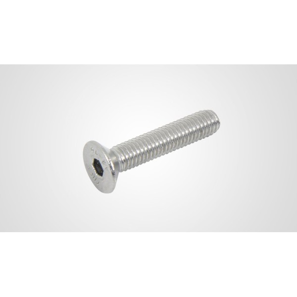 M6*60 HB İnox İmbus Cıvata DIN 7991 A2